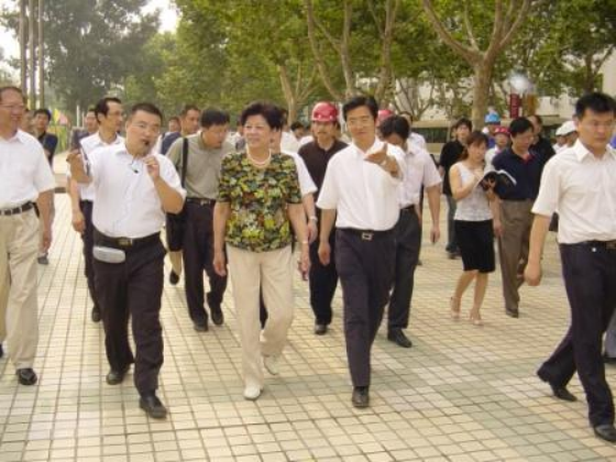 國務委員陳至立視察我集團承建的奧運舉重館工地