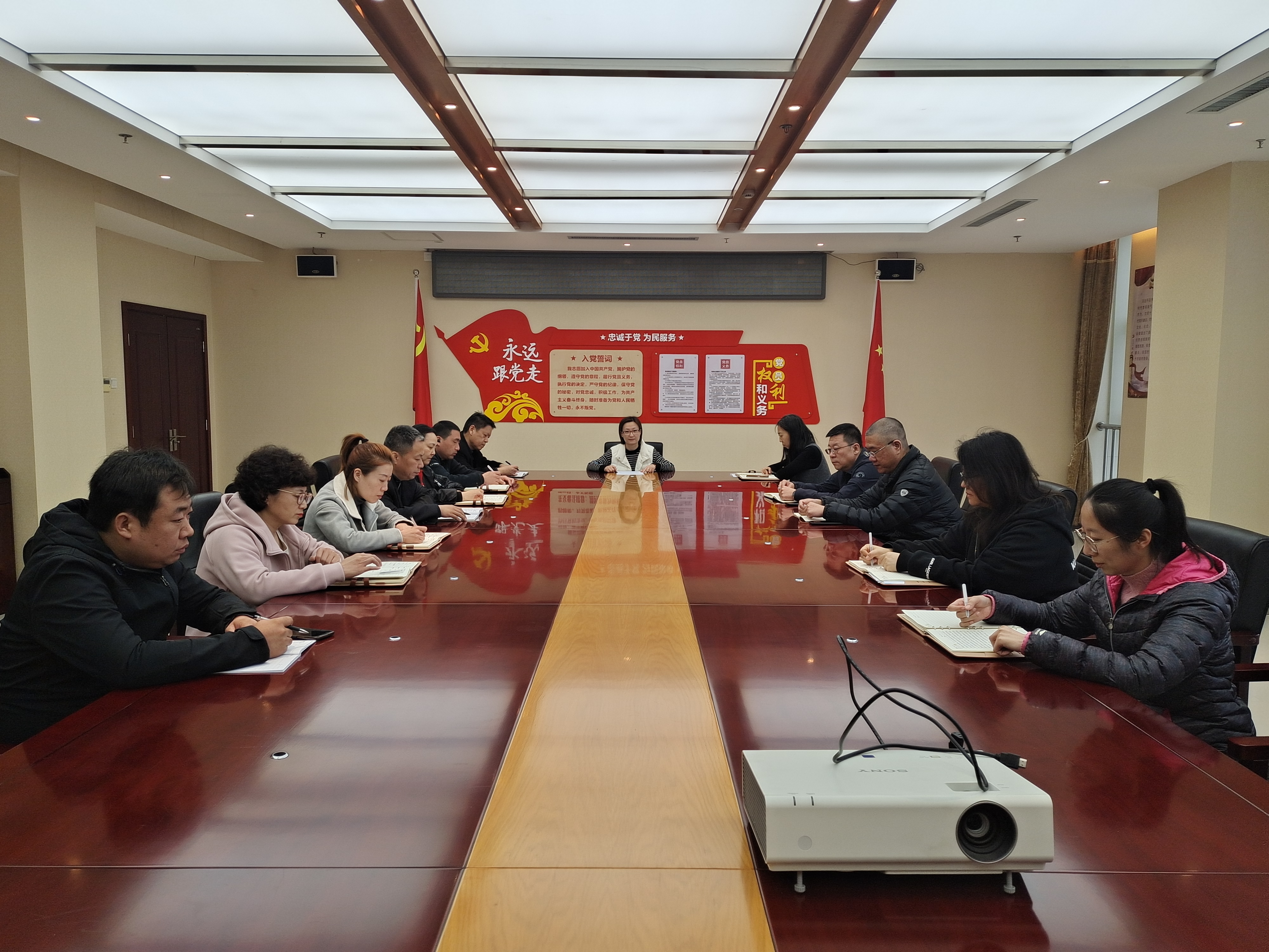 機關支部開展“人人都是營商環境，拱辰黨員在行動” 主題黨日活動